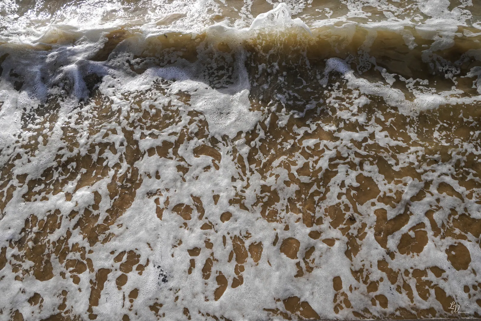 La vague